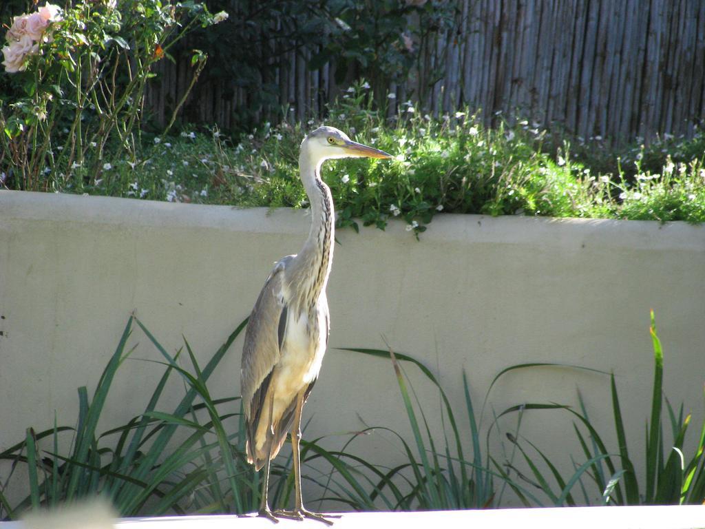 De Langenhof Hotel Riebeek-West Luaran gambar